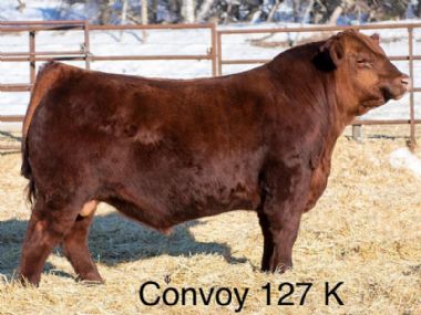 Red Barr Convoy 127K - 