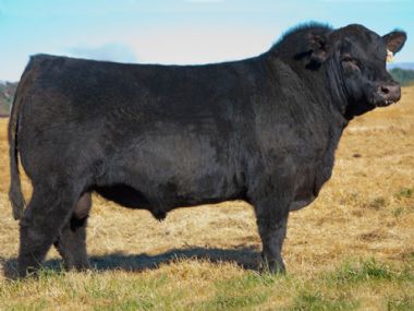 Epworth Ladysman - 