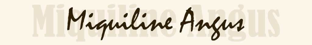 Angus Miquiline South Africa | Angus Miquiline Suid Afrika