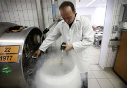 I am a collector of semen and can do fertility testing on your animals. I specialize in teaching farmers about artificial insemination and how to determine how many months the female is pregnant. Contact me on 082 787 0222 or m.potgieter@gmail.com
